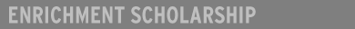 Enrichment Scholarship